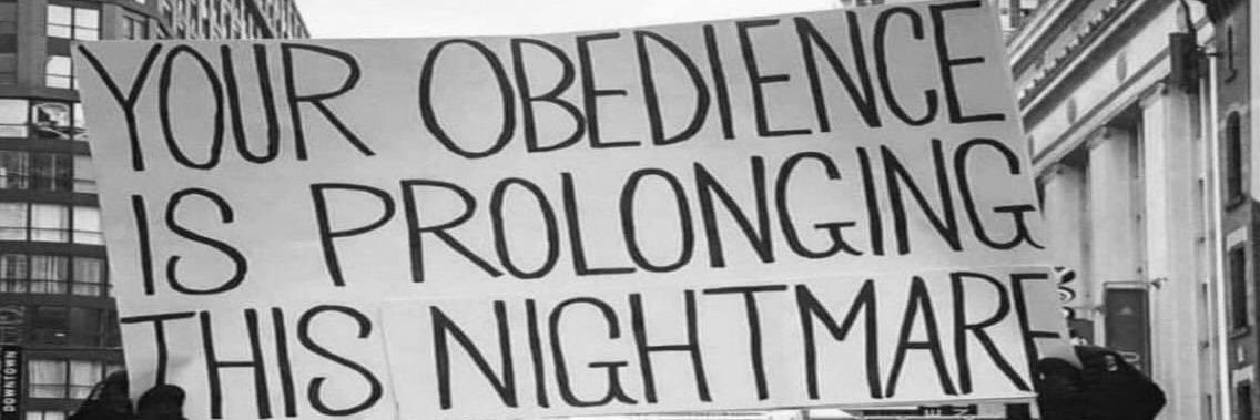 Maxi 🦔 🥩 banner