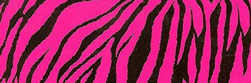 PostmodernShrub's profile banner image