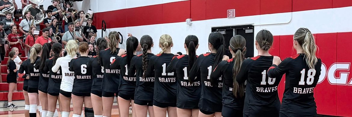 Logan Elm Volleyball banner