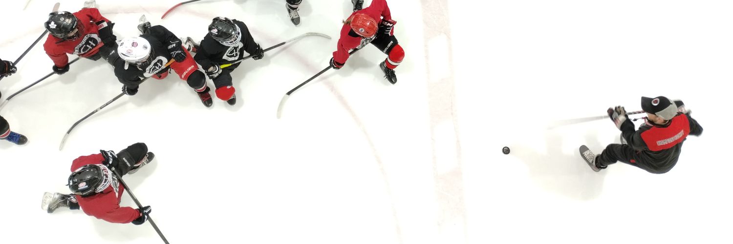 Champions Hockey banner