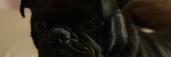 Mvpfloor Profile Banner