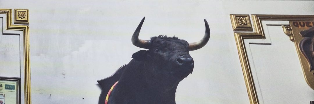 drakipandix's profile banner image