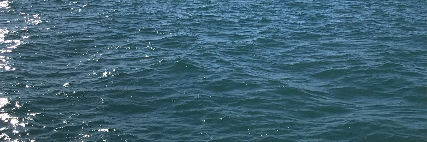 LaMerindi's profile banner image