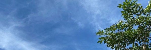 ferretaje Profile Banner