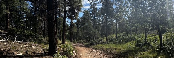 shoosTCS Profile Banner