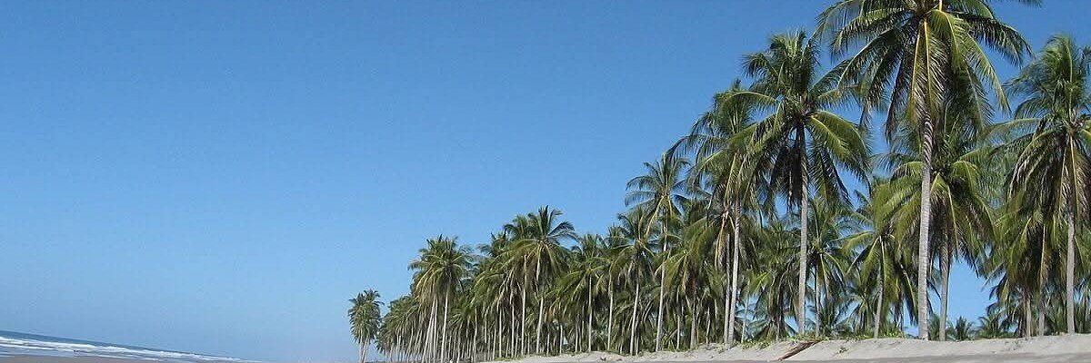 byronhugo's profile banner image