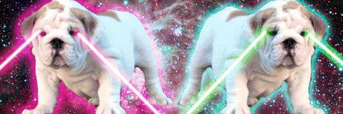 Julia Anderson banner
