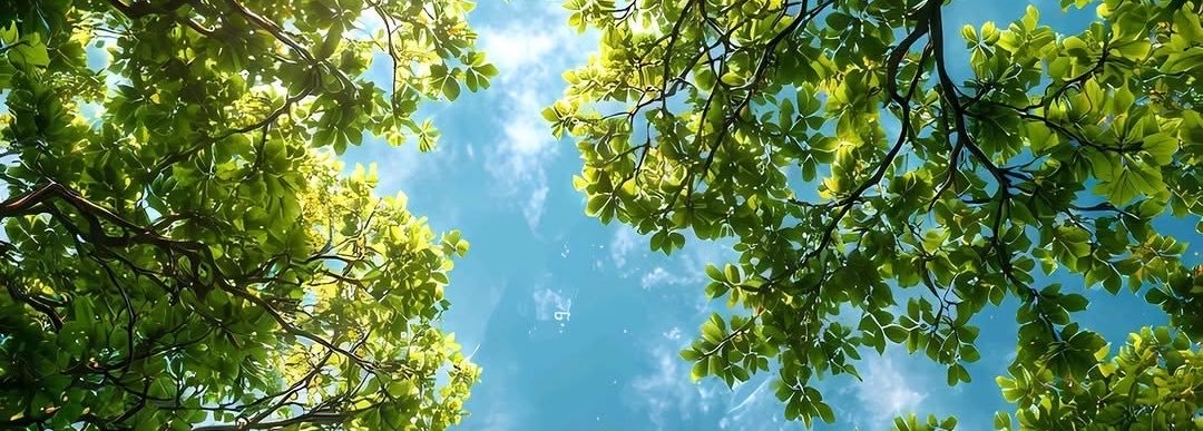 jasminedraft's profile banner image