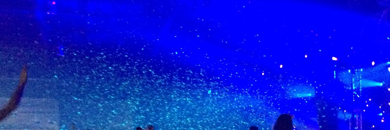 gunnar_smith12's profile banner image