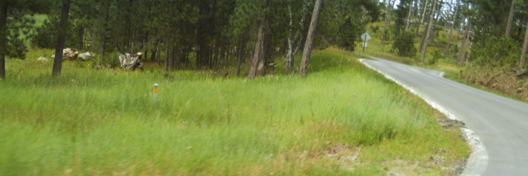 william_mceuin's profile banner image