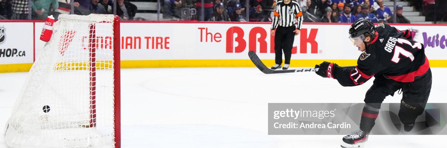 Senators Fanatic banner