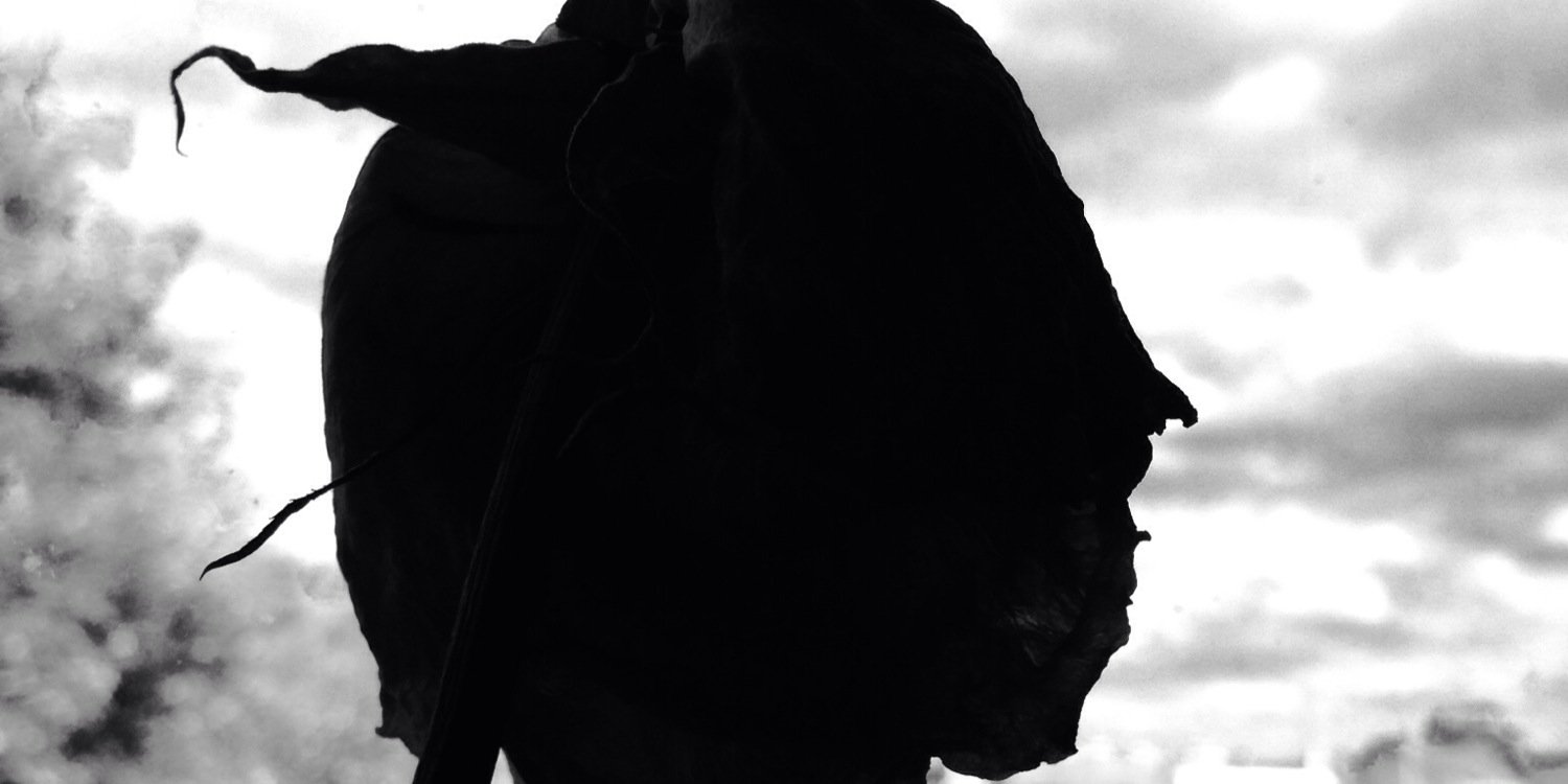 BledarLeti's profile banner image