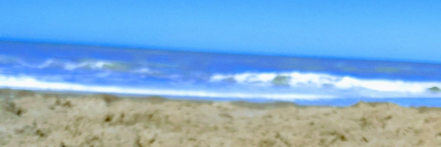 belutoo's profile banner image