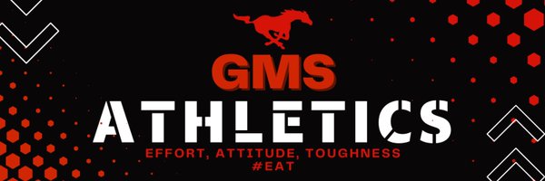 GMSPonies Profile Banner