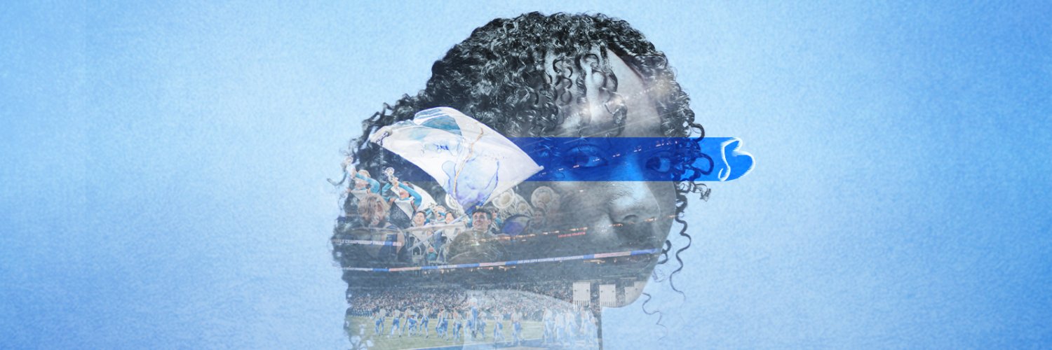 The Blue Devils ✨ banner