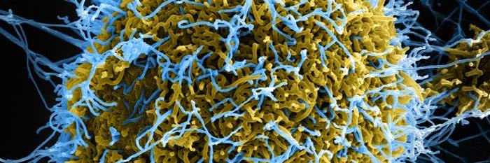 Mekala Sundaram banner