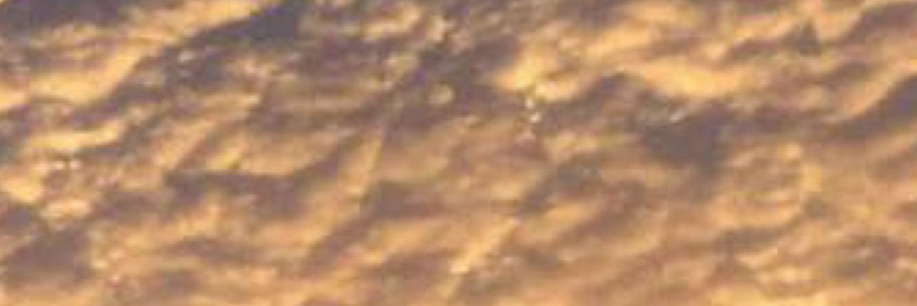 xx_turkey's profile banner image