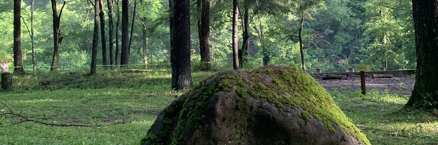 mrgnknd's profile banner image