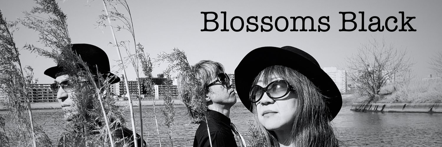 blossomsblack3's profile banner image