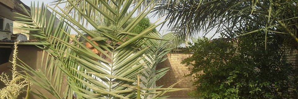 saeed135057's profile banner image