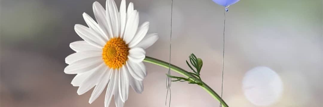 غيمة فرح 🕊 banner