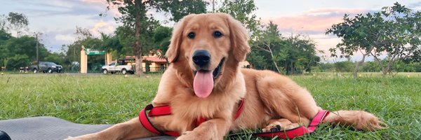 cristirecalde Profile Banner