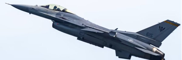 DefenceWithLi Profile Banner