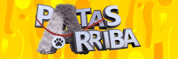 patasarribacsur Profile Banner