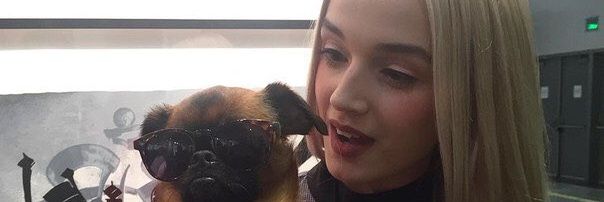 katyssmiles's profile banner image