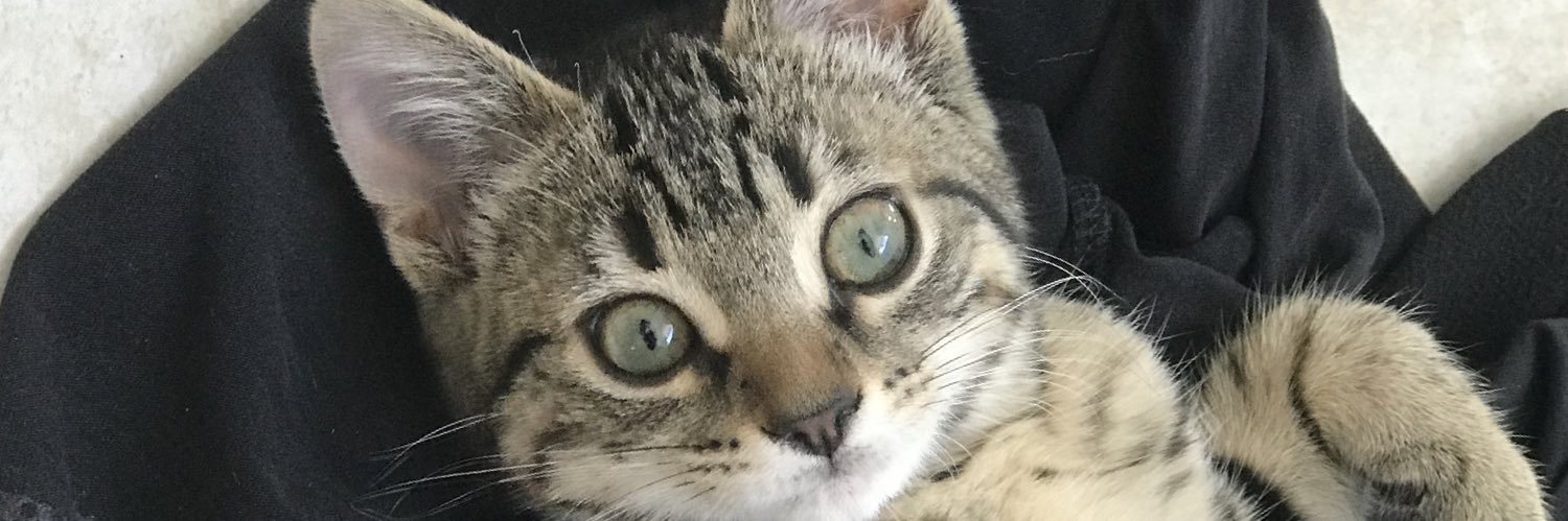 Maaarieglt's profile banner image