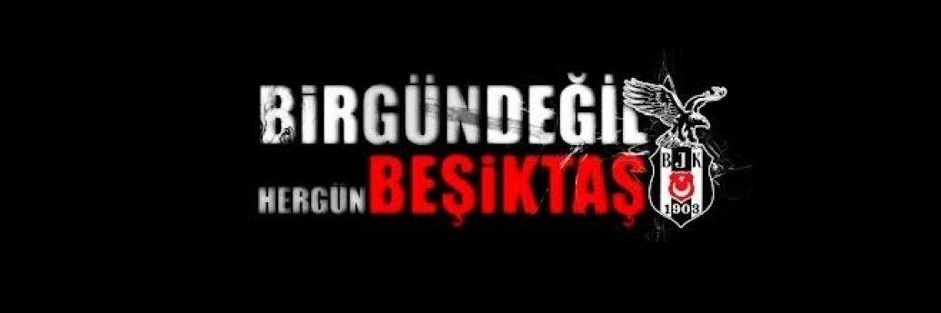 celayirs's profile banner image