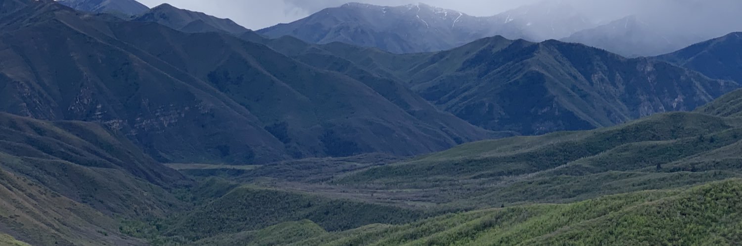 alpalann's profile banner image