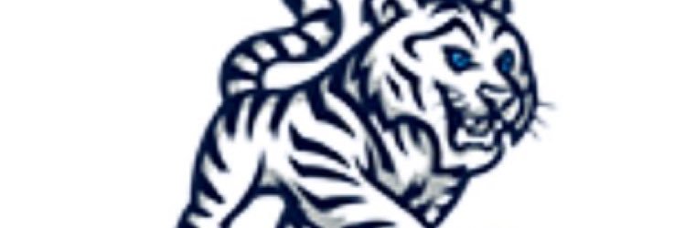 Ms. Bolt banner