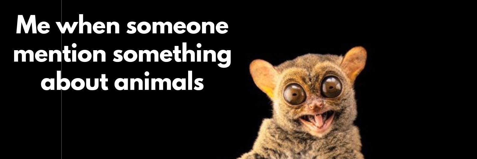 biya'²⁷ | minat #IPB banner