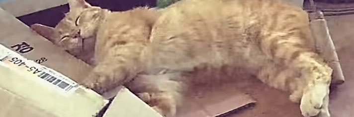 aika_1098's profile banner image