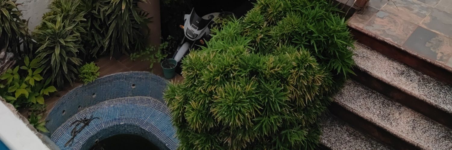 BorgesPcsbofm's profile banner image