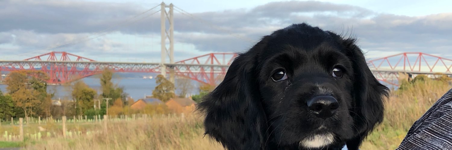 alanhgibson's profile banner image