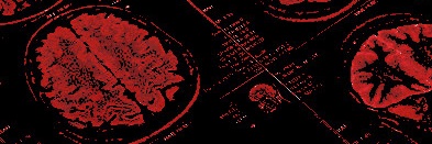 🪦 ┈┈ 𓏲ּ 𝖇𝘰𝘥𝘺 𝘰𝘧 𝘺𝘦𝘢𝘳𝘴 ⋆ banner