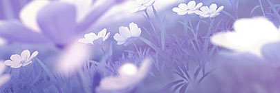 sekairio's profile banner image