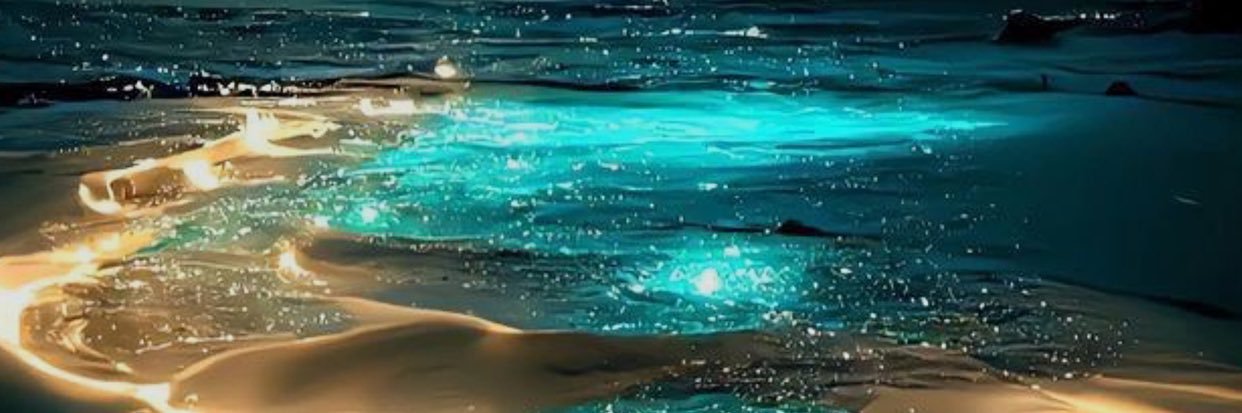 tdaa8888's profile banner image