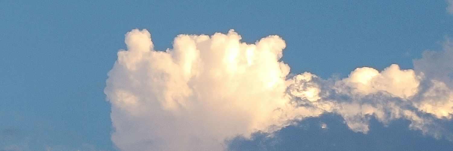 SCucumber114514's profile banner image