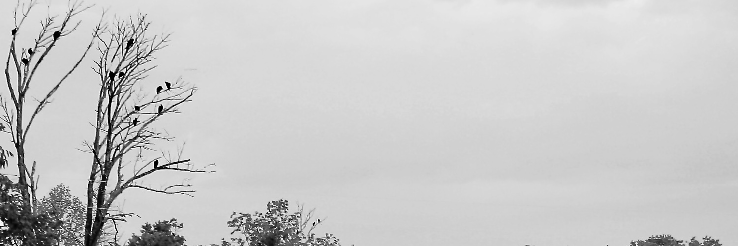 The Piper banner