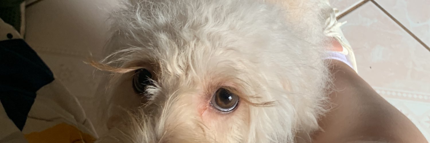 ferv9919's profile banner image