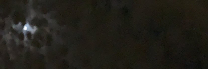 luckiestneda's profile banner image