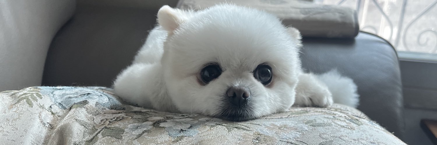 미쓰빽🤦🏼‍♀️ banner