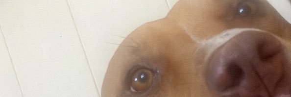 HDMI CombatAce 🇵🇷 🇮🇹 banner