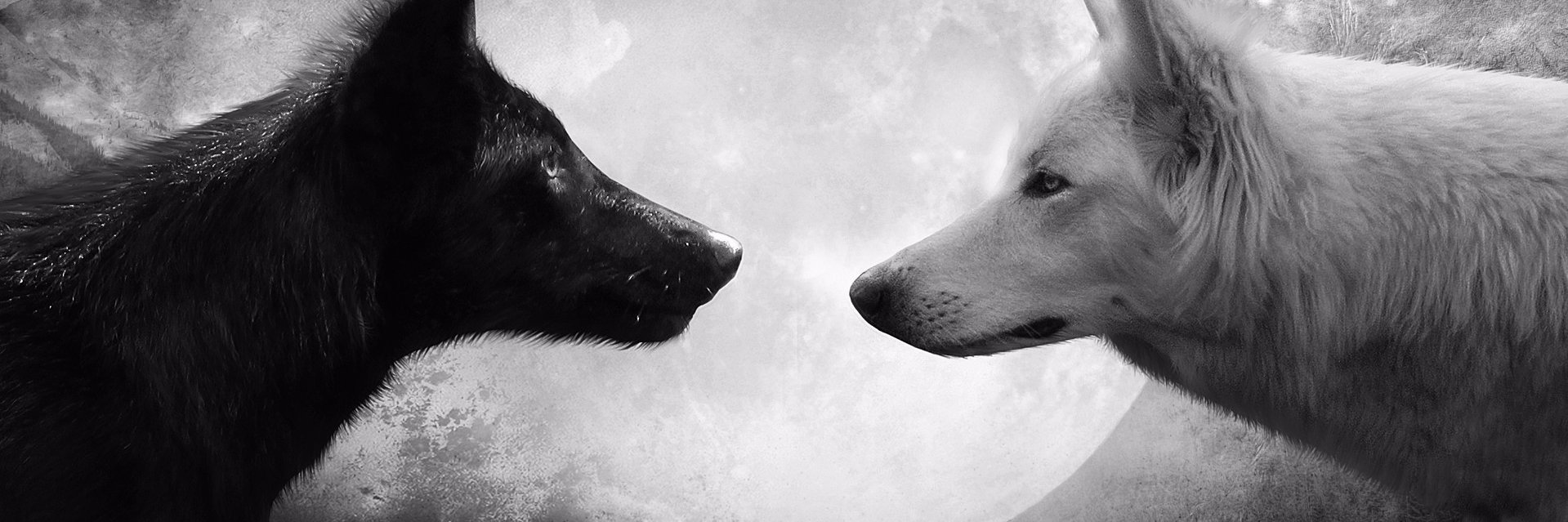 Brejar's profile banner image