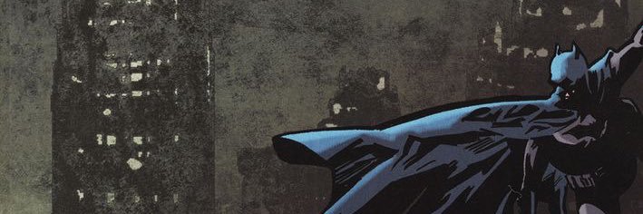 TheBatPics's banner
