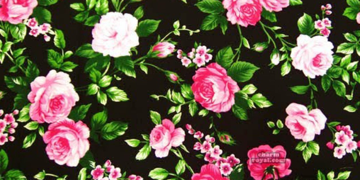 Ch4ntelle_'s profile banner image