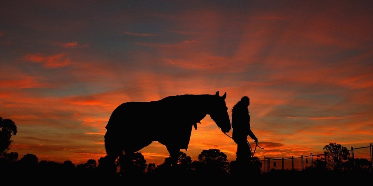 TheCornishCowboy banner